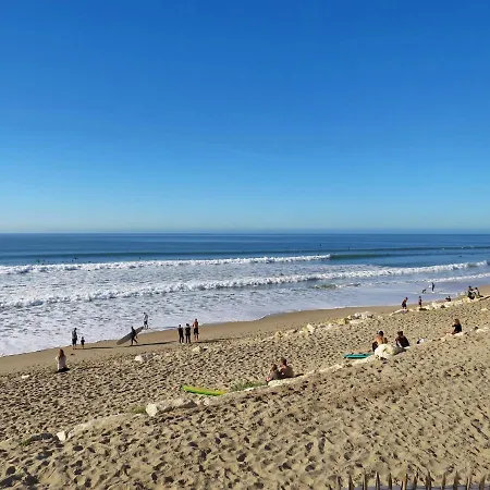 Holiday home Les Palombes-3 By Interhome *